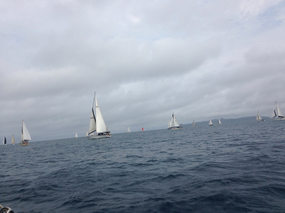 晨光海洋參加2016台琉盃帆船活動